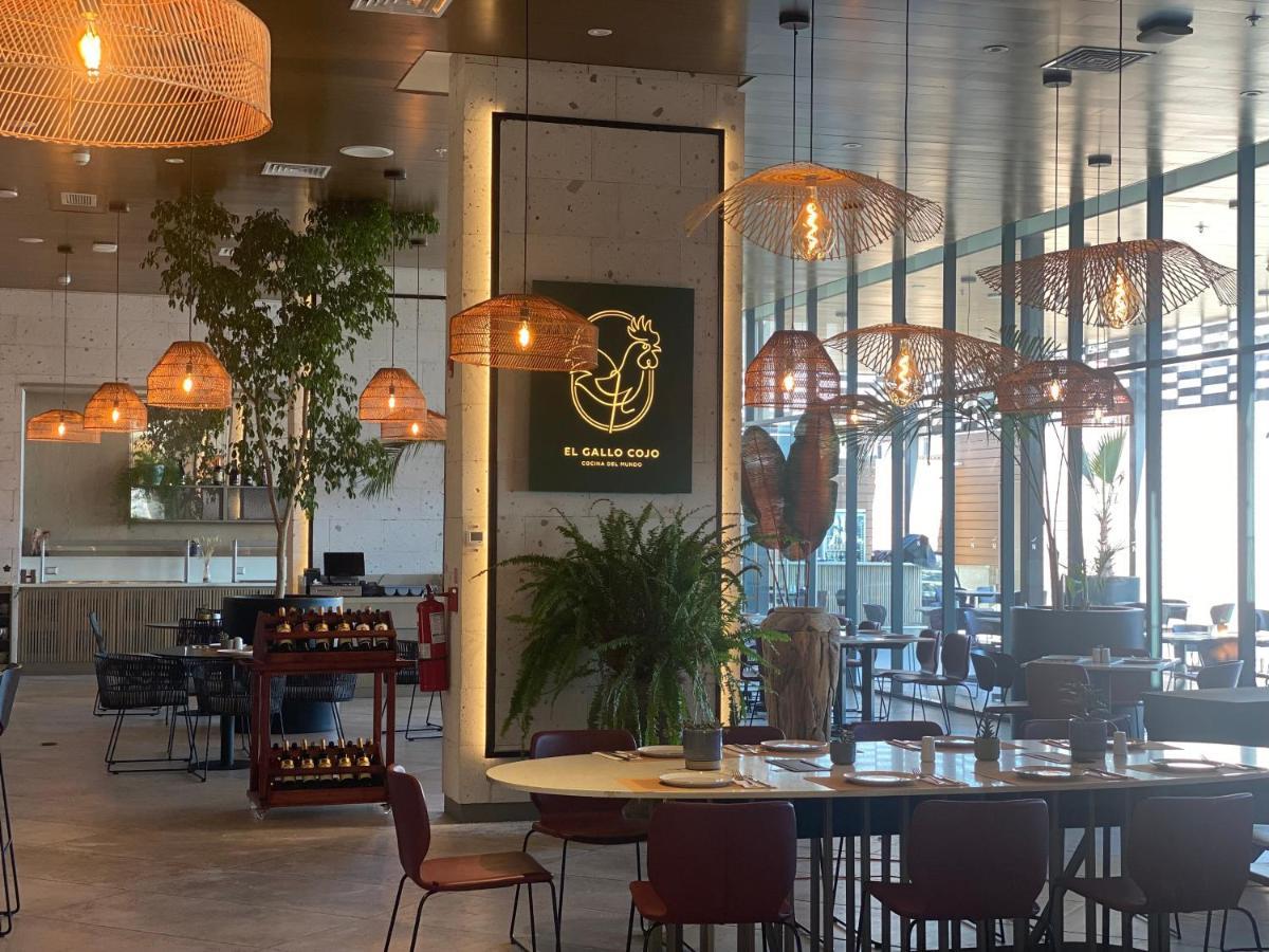Novotel אריקה מראה חיצוני תמונה